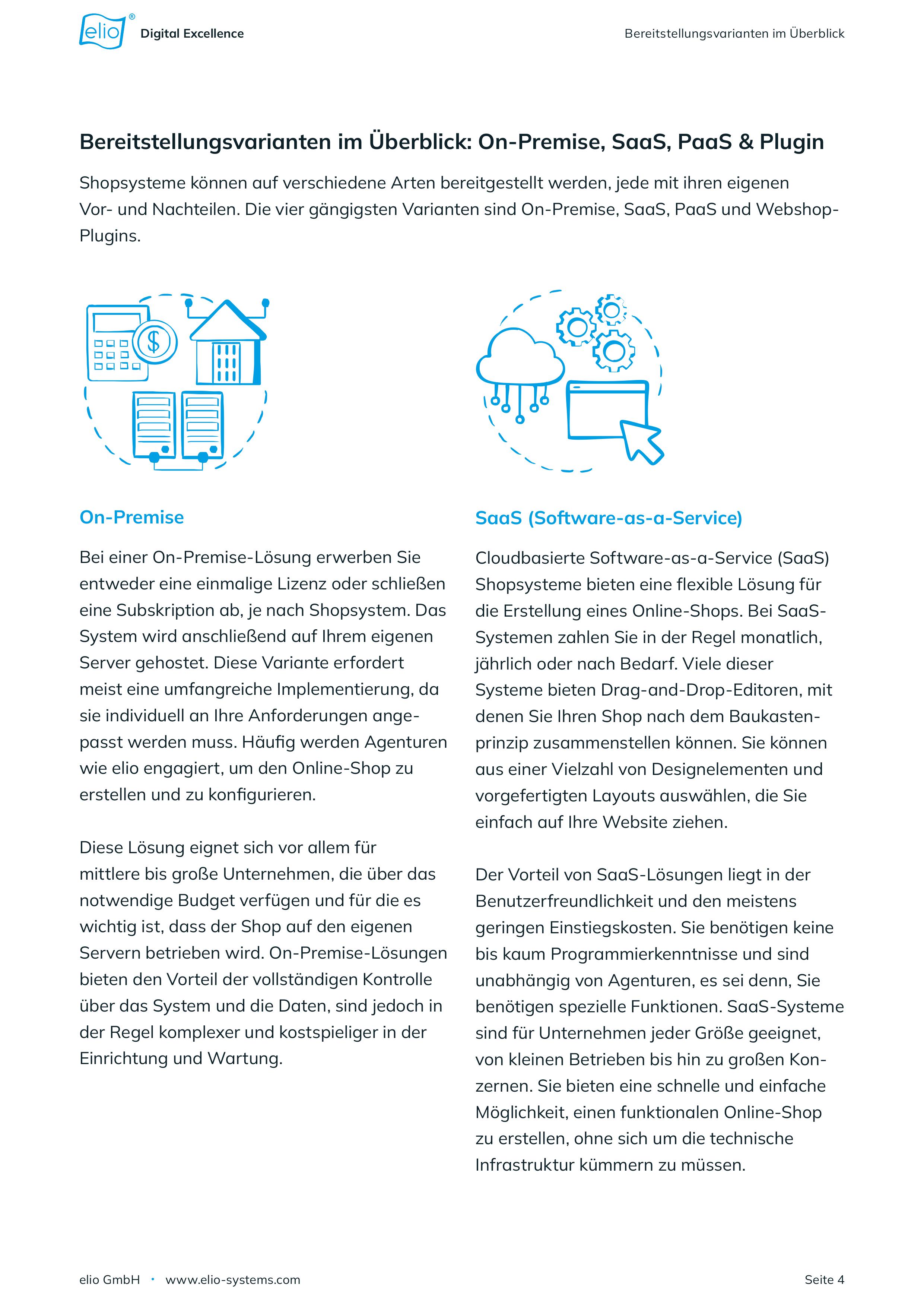 Whitepaper B2B Shop System Guide